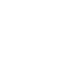 dragon play logo