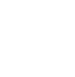 dragon sports logo