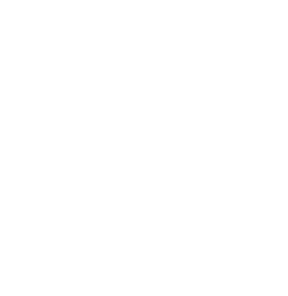 dragon urban logo