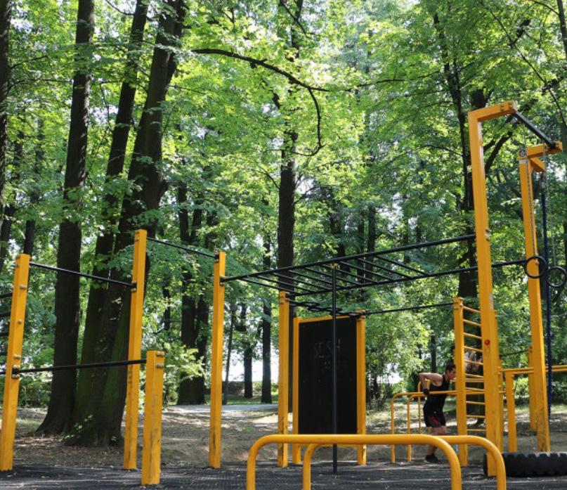 image of a wheelchair swing